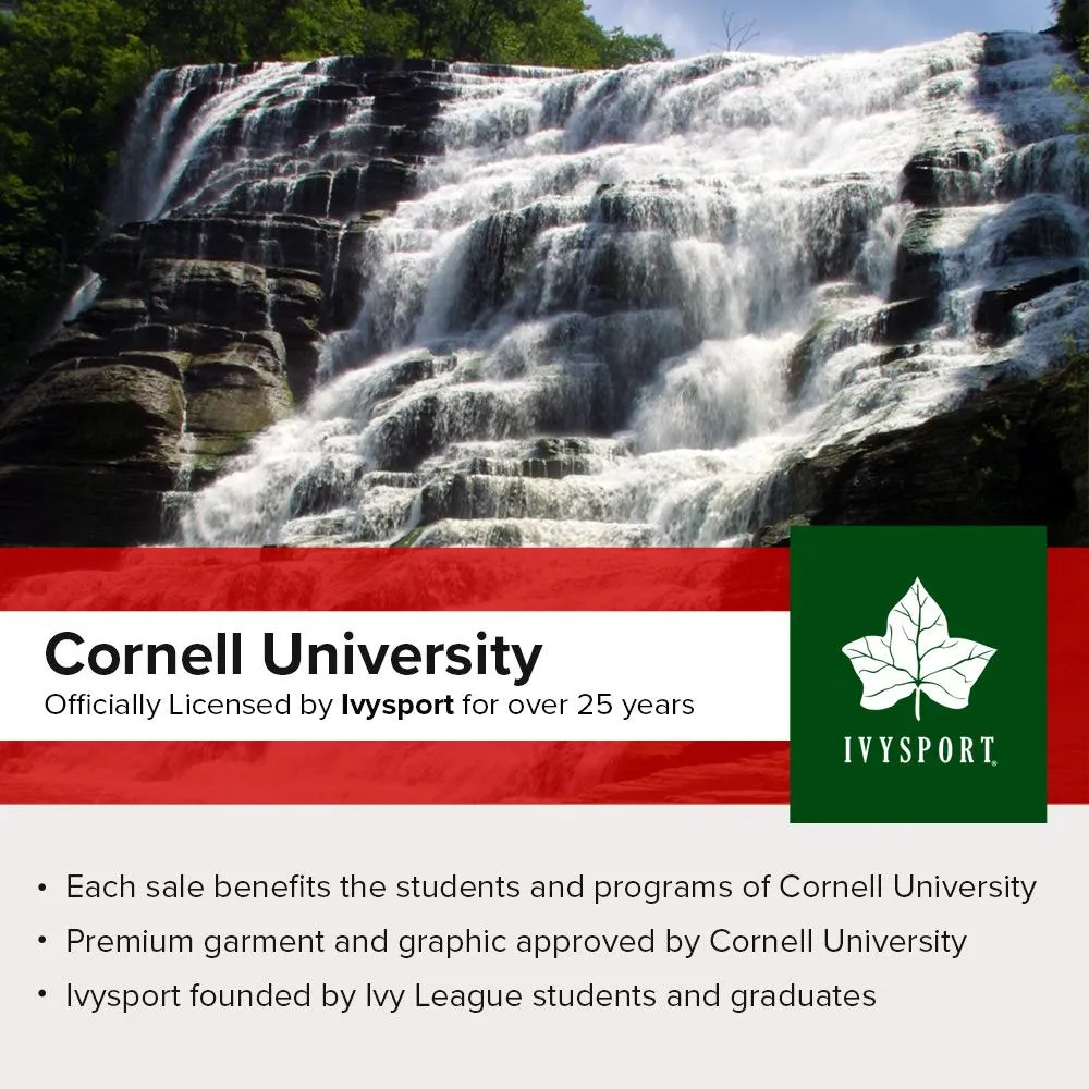 Cornell Classic T-Shirt (Charcoal Grey)