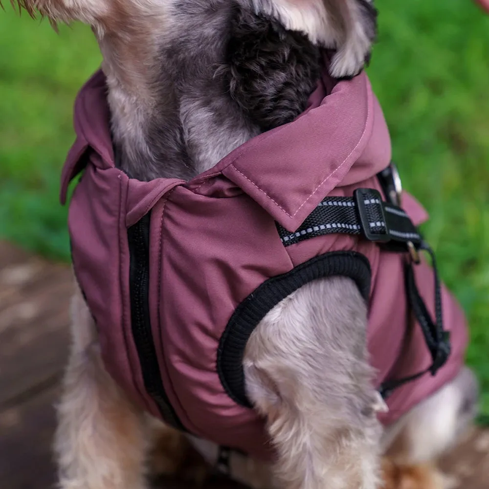 Dozzy Dog Waterproof Winter Jacket With Harness