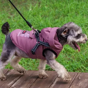 Dozzy Dog Waterproof Winter Jacket With Harness