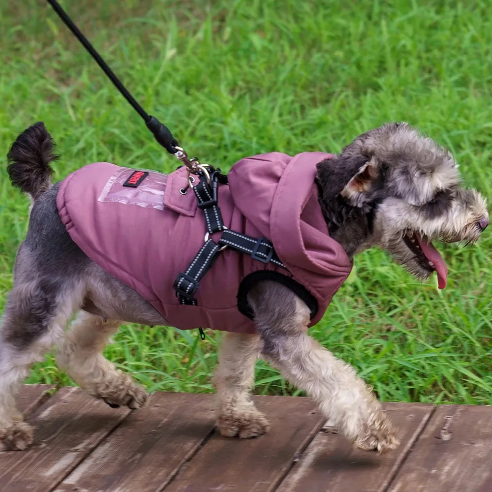Dozzy Dog Waterproof Winter Jacket With Harness