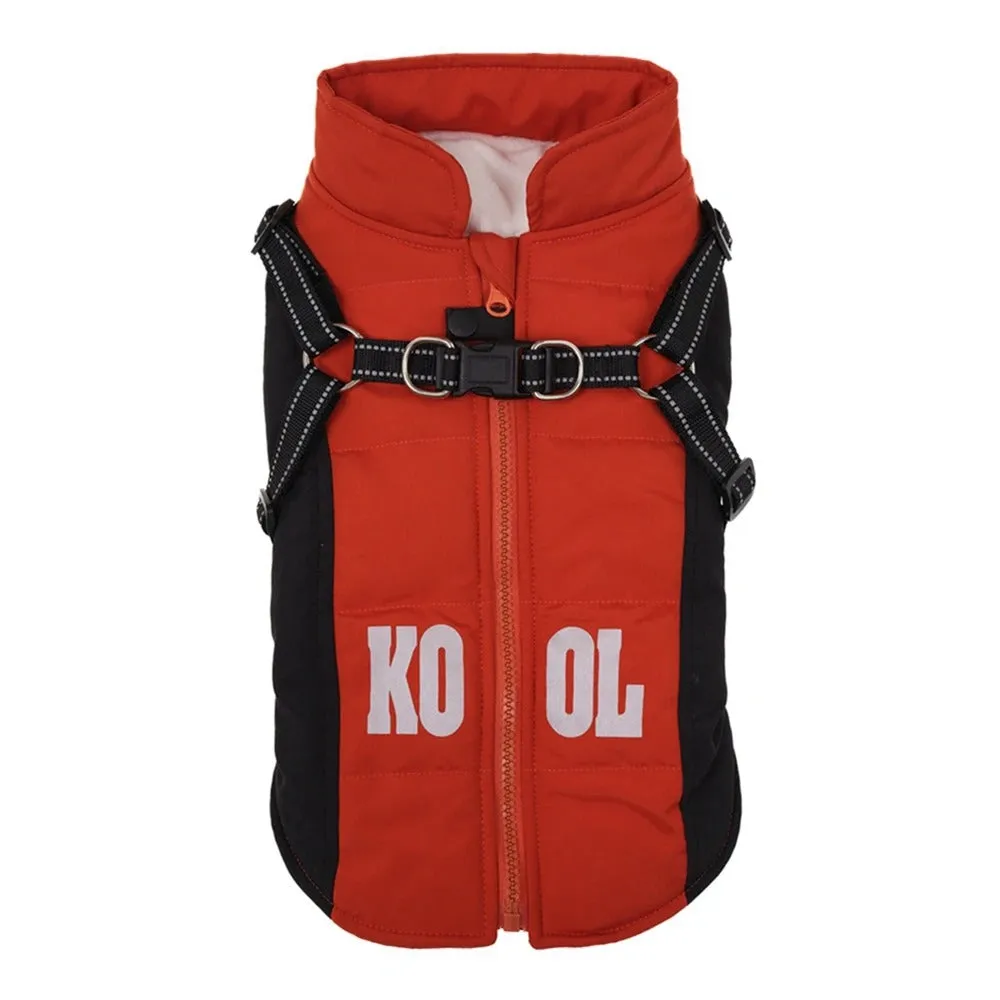 Dozzy Dog Waterproof Winter Jacket With Harness