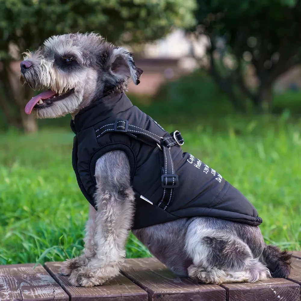 Dozzy Dog Waterproof Winter Jacket With Harness