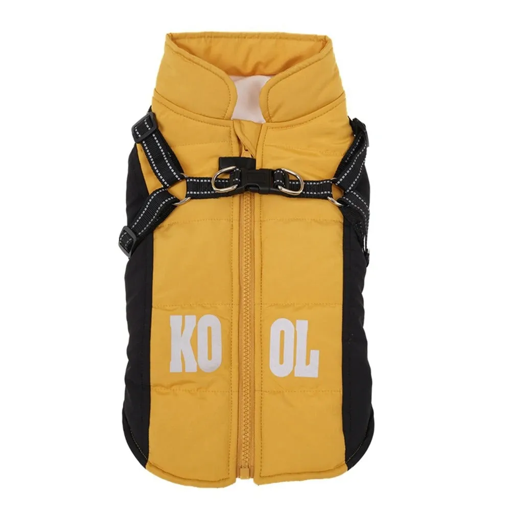 Dozzy Dog Waterproof Winter Jacket With Harness