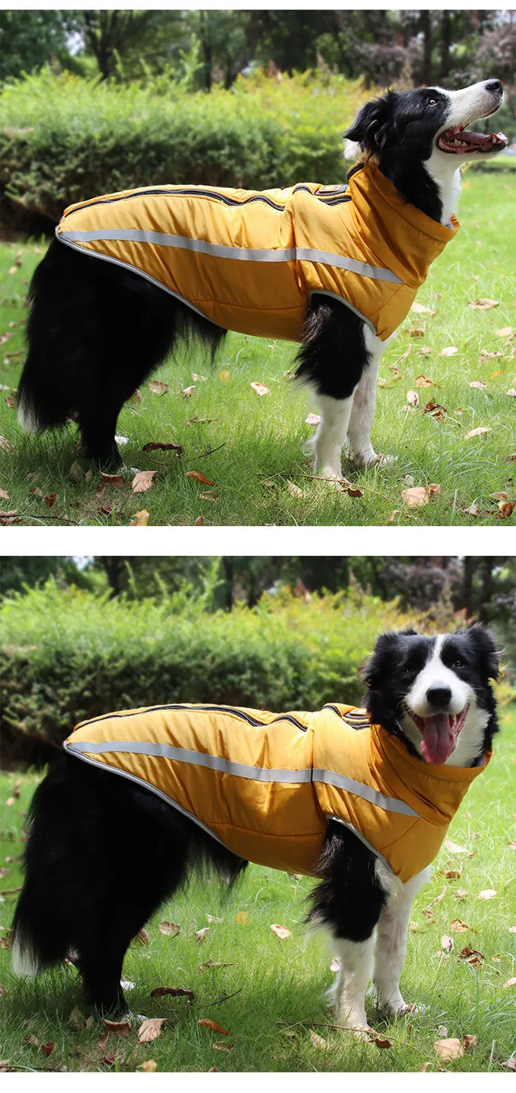 Pet clothing for autumn and winter reflective and warm jackets