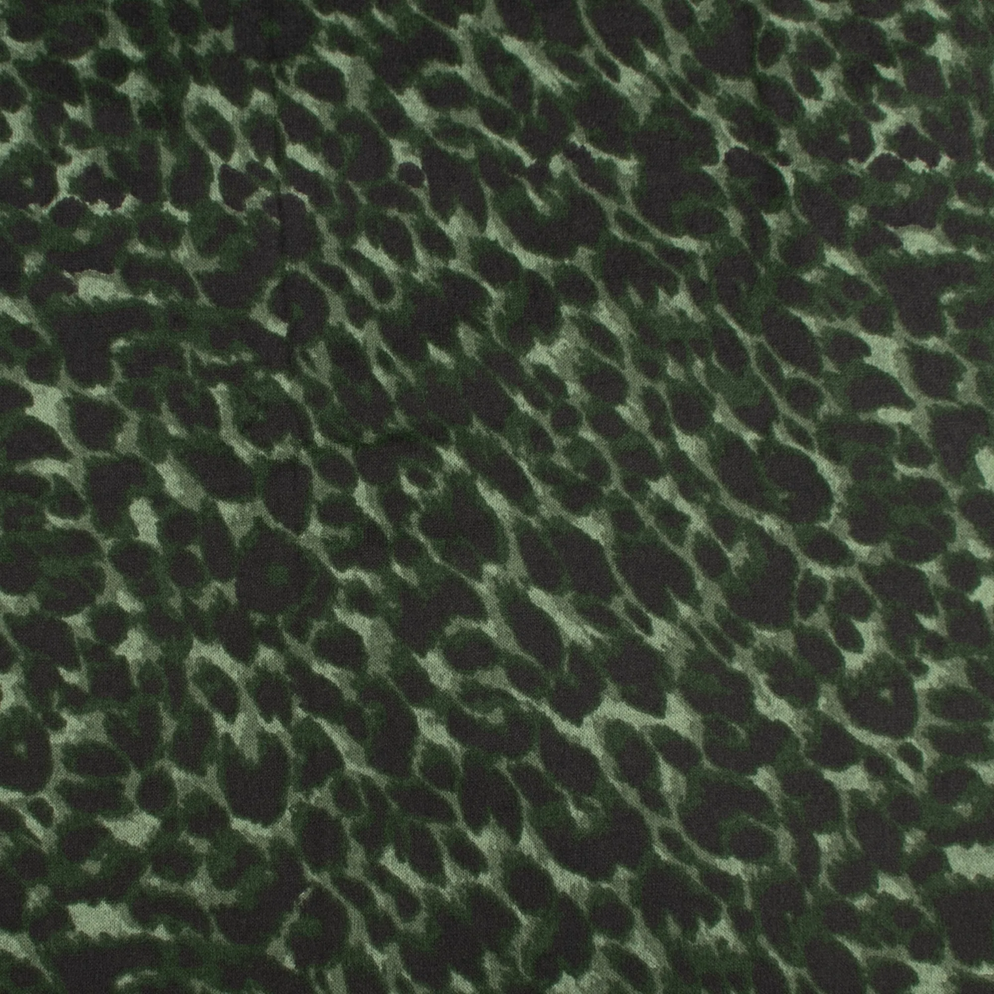Printed Sweater Knit - HACCI - Leopards - Green